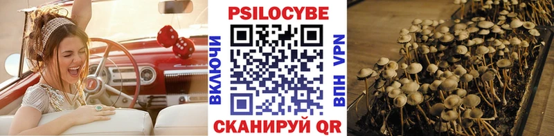 Псилоцибиновые грибы мухоморы площадка как зайти Отрадное что такое наркотик